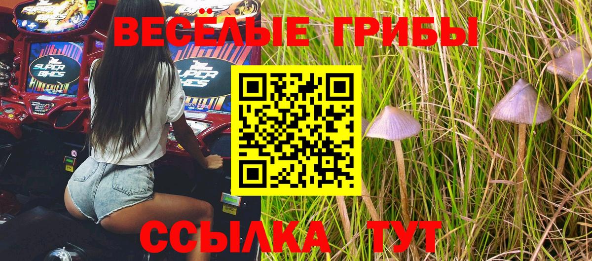 Тольятти  Галлюциногенные грибы MAGIC MUSHROOMS  Вход с VPN 
